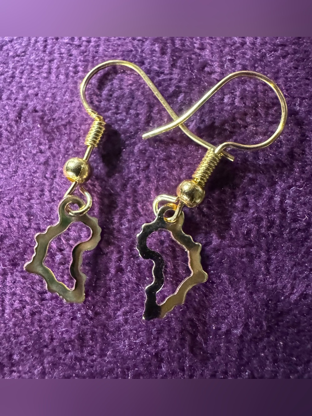 Gold Tone Africa Outline Dangle Earrings
